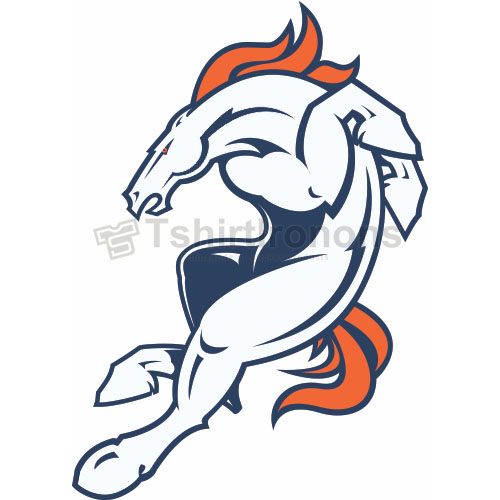 Denver Broncos T-shirts Iron On Transfers N507 - Click Image to Close